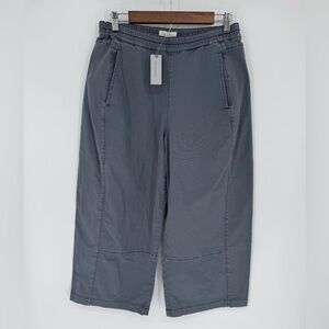 Anthropologie Pilcro Women's Charcoal Chinos- SMALL PETITE- NWT 🏷️